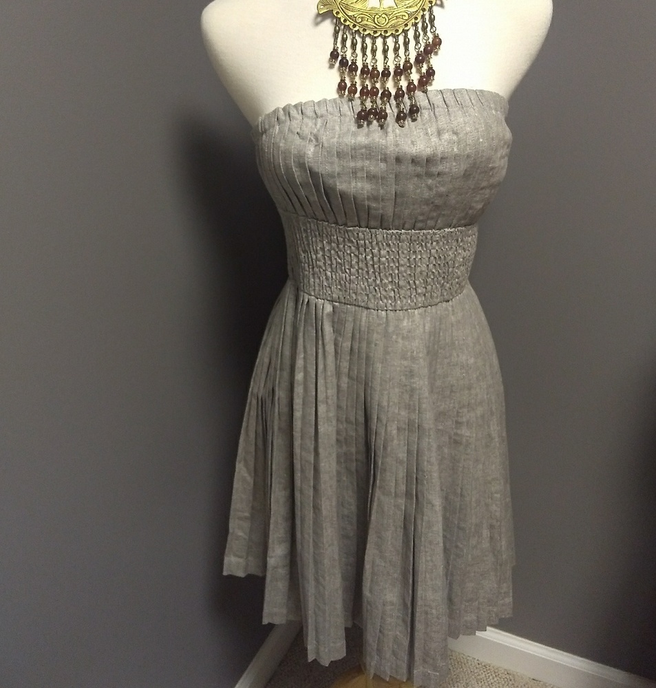 ✴️NWT✴️ Gracia Silver Pleat Dress